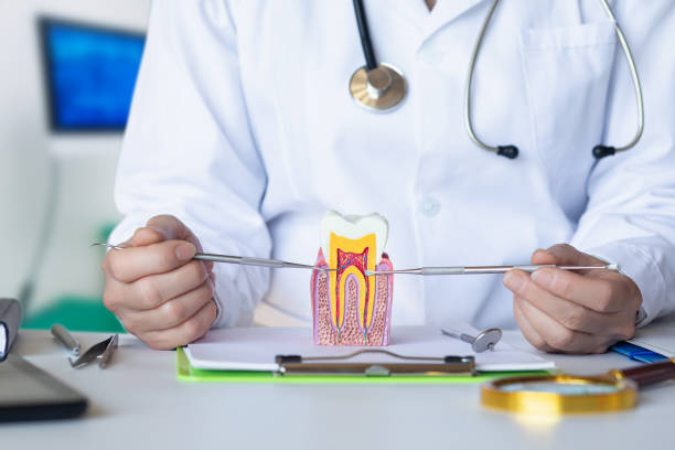 Best Same-Day Emergency Dental Services in Roanoke, IL